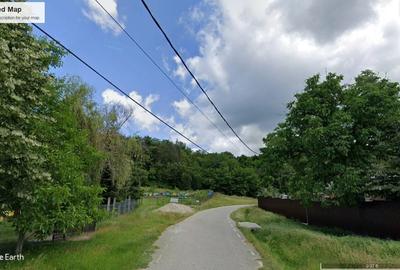 Vand parcele PADURE seculara stejar, N.Balcescu Valcea, la drum, conditii CABANA - 4