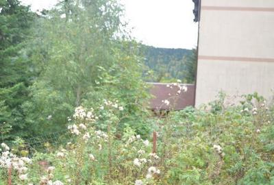 Busteni-Teren cu panorama superba de vanzare - 16