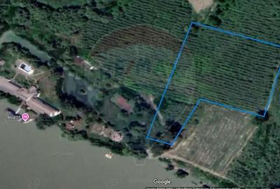 Teren de 20000 mp, în Central