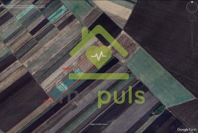 ? Teren extravilan la Pesac de 3,4 ha (1,4 euro/mp)? - 3