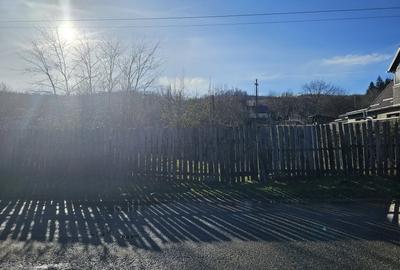 Teren intravilan + teren extravilan, suprafata totala 8.489 mp, Nucet - 4