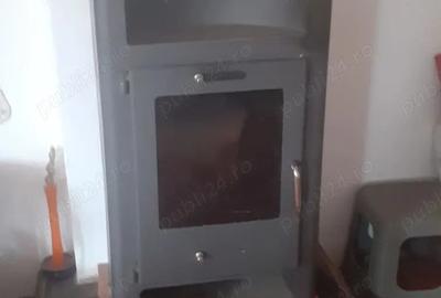 Casa cu curte mare ?i vie pe spalieri - 9