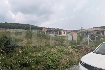 Teren construibil de vanzare, 500 mp sau 1000 mp, Dealu Jel - 4