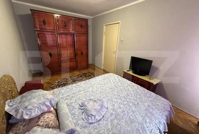 Apartament cu 2 camere semidecomandat, mobilat în Brazda lui Novac - 7