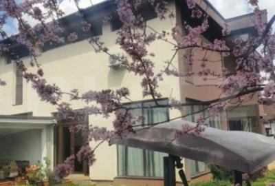 Casă cu 5 camere cu Teren 850 Mp în Central - 16