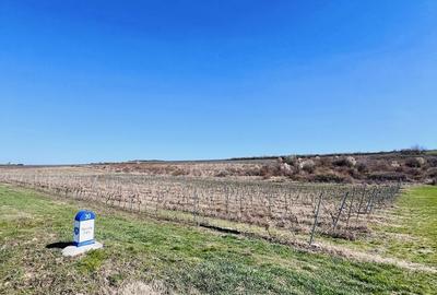 Spațiu comercial, în Mâsca - 2