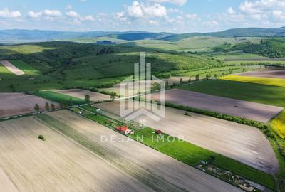 Teren agricol intravilan de 687 mp, în Aninoasa - 3