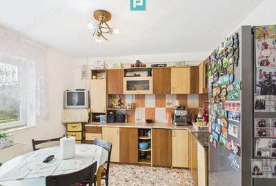 Casa individuala la Beregsau Mare, 2890 mp teren - 4