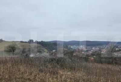 Teren intravilan 4774 mp de vanzare in Livezeni - 1