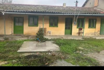 Casa de vinzare Peciu Nou - 9