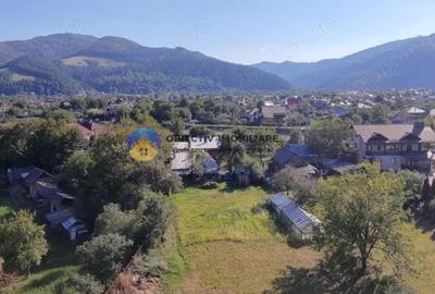 Casă cu 3 camere cu Teren 6329 Mp în Alexandru cel Bun - 18