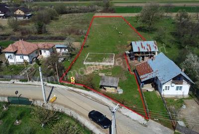 Teren de 2508 mp, în Argeșani - 5