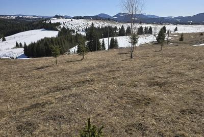 Teren Construcții intravilan de 1500 mp, în Nord - 1