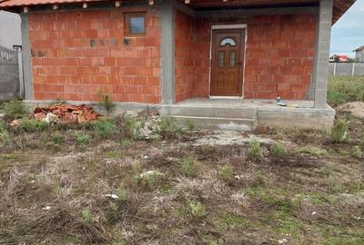 Vind Casa Peciu Nou - 9