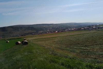 Chinteni 40 euro mp - 10