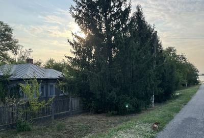 Casă cu 3 camere în Boșneagu - 6