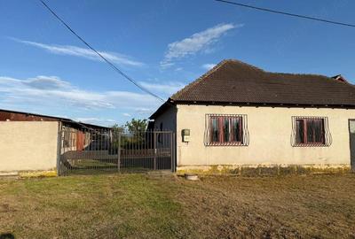 Casă cu 3 camere cu Teren 2000 Mp în Berzovia - 1