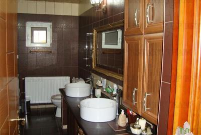 Super afacere, vila cu aspect de conac cu spatii moderne dar si clasice antichiz - 15