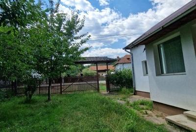 Balilesti - Stradal, casa spatioasa, 4600 mp teren intravilan - curte spatioasa - 9