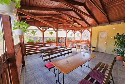 PROPRIETATE CU AFACERE FUNCTIONALA DE - PETREU, LANGA MARGH - 4