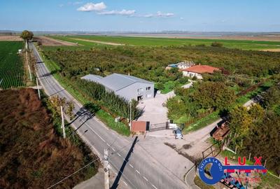 Teren de 44999 mp, în Sabangia - 1