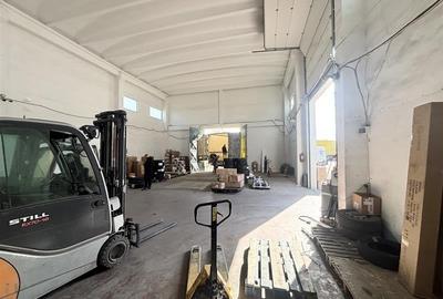 Hala  700 mp - teren 3998 mp - Nufarul - 4