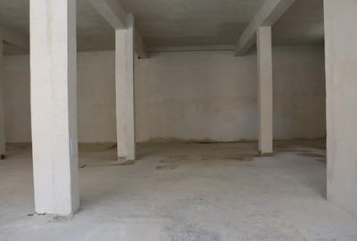 Spațiu comercial, 250 mp în Est - 3