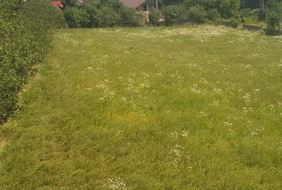 Teren de 5000 mp, în Schitu Hadâmbului - 8