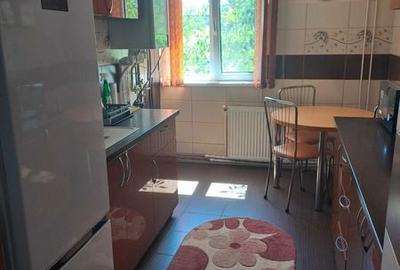 Apartament cu 3 camere decomandat în Lipovei - 5