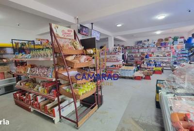 Spațiu comercial, în Tămădău Mare - 14