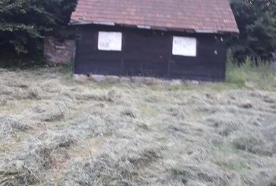 Casă în Timișu de Sus