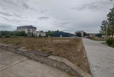 Moldova Noua, Teren Drept Intravilan 1628 Mp., pe malul Duna - 4