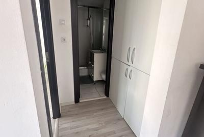 Apartament cu 2 camere decomandat, mobilat în Colentina - 12