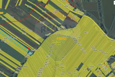 Teren extravilan 10,791mp Falticeni / Strada DJ209A, Opriseni - 4