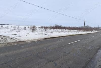 Spațiu comercial, în Pasărea - 3