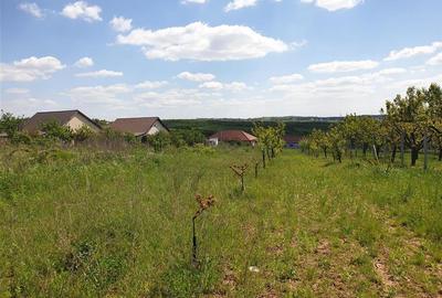 Teren Construcții intravilan de 2929 mp, în Săldăbagiu de Munte