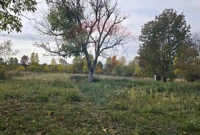 Teren generos cu potential in comuna Silindia, judetul Arad - 3