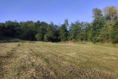 Teren de 2631 mp, în Malu Mierii - 1