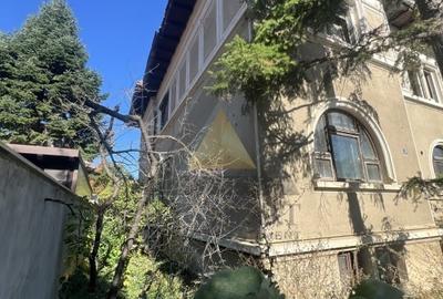 VILA IDEAL INVESTITIE REZIDENTIALA SAU COMERCIALA VILA IDEAL INVESTITIE REZIDENTIALA SAU COMERCIALA - 6