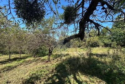 Teren de 4101 mp, în Coruia - 10