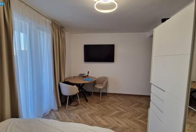 Apartament cu 1 camere decomandat, mobilat în Valea Borcutului - 1