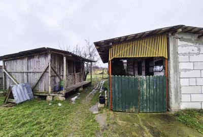 Casa Ungheni Arges - 11