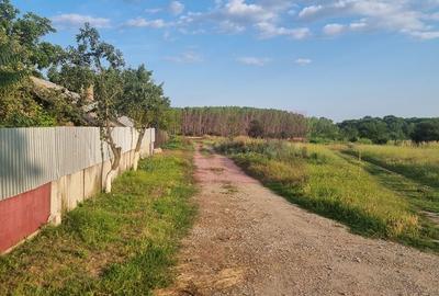 Teren de 2150 mp, în Bulbucata - 5