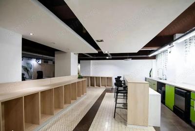 Spațiu comercial, de 715 mp, în Kiseleff - 4