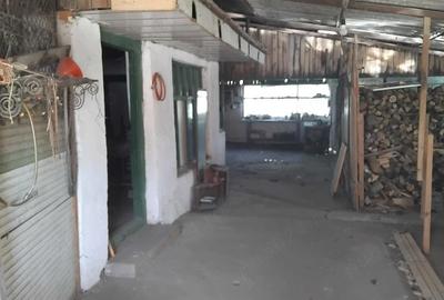 Casă cu Teren 1328 Mp în Macea - 2