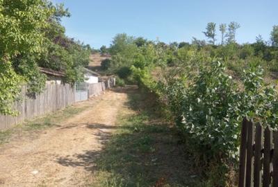 Teren intravilan - 3