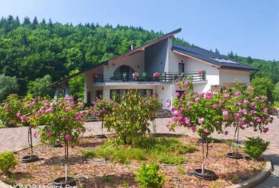 Casă cu 6 camere cu Teren 3000 Mp în Dej - 3