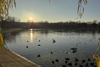 Apartament 3 Camere Aleea Sinaia - Doamna Ghica - 2