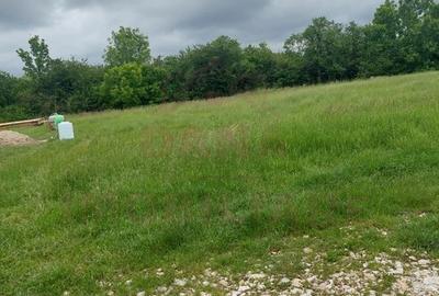 TEREN INTRAVILAN CARANSEBEȘ\JUD. CARAȘ-SEVERIN TEREN INTRAVILAN CARANSEBEȘ\JUD. CARAȘ-SEVERIN - 5