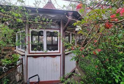 Casa istorica muzeu 4 camere, 2 bai cu 1344 mp teren, ultracentral, Tg Mures - 6